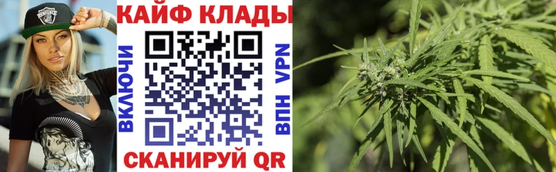 Купить закладку Вятские Поляны COCAIN  Альфа ПВП  Псилоцибиновые грибы  ТГК  ГАШИШ 