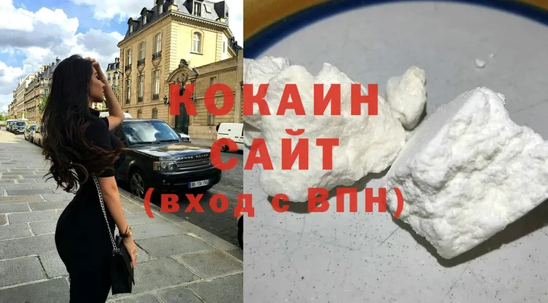 Cocaine Fish Scale  дарнет шоп  Вятские Поляны 