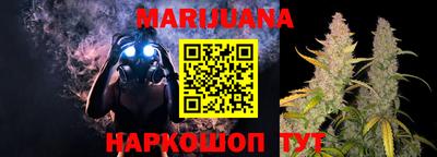 сатива Балаково