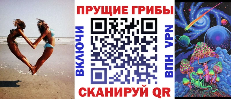 сколько стоит  Вятские Поляны  blacksprut вход  Псилоцибиновые грибы Psilocybine cubensis 
