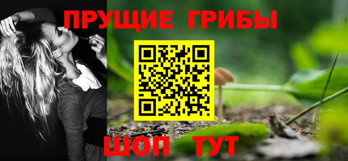 Вятские Поляны  Псилоцибиновые грибы мицелий  Вход с VPN 