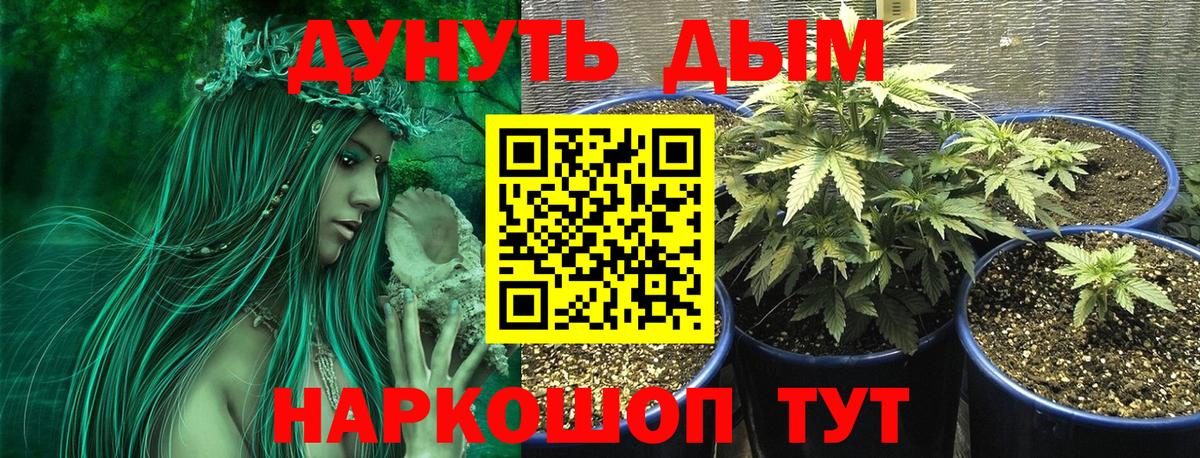 Каннабис  Вход с VPN  Вятские Поляны  Мефедрон  Гарик  Каннабис  COCAIN  Круглые 