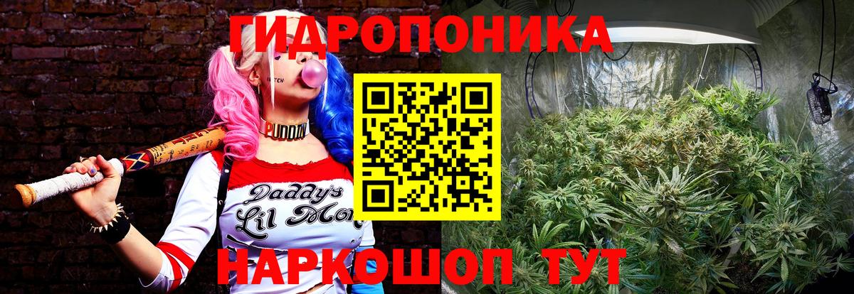 Марихуана OG Kush Вятские Поляны